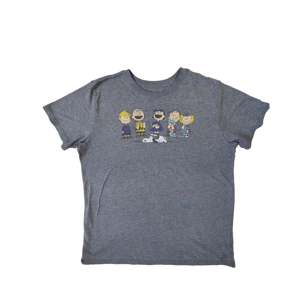 Peanuts Snoopy Charlie Brown Graphic T-Shirt Mens XL Gray Cartoon Tee